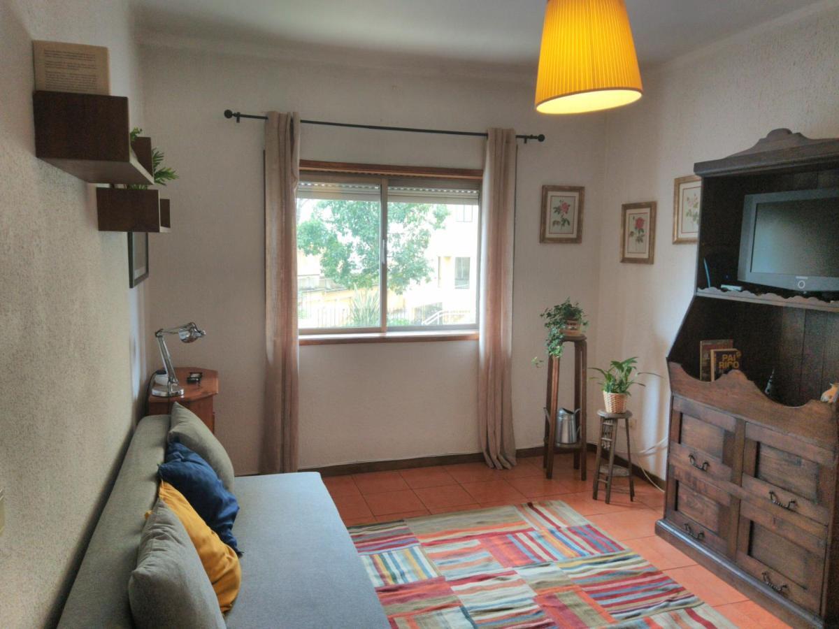 ! Free Parking Street ! Ground Floor With Washer! Porto Eksteriør bilde